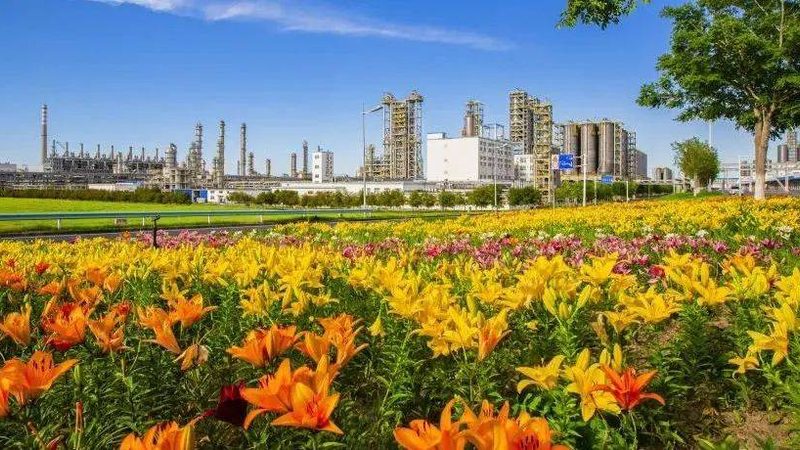 无机化工原料深加工工艺：揭秘其核心与挑战**