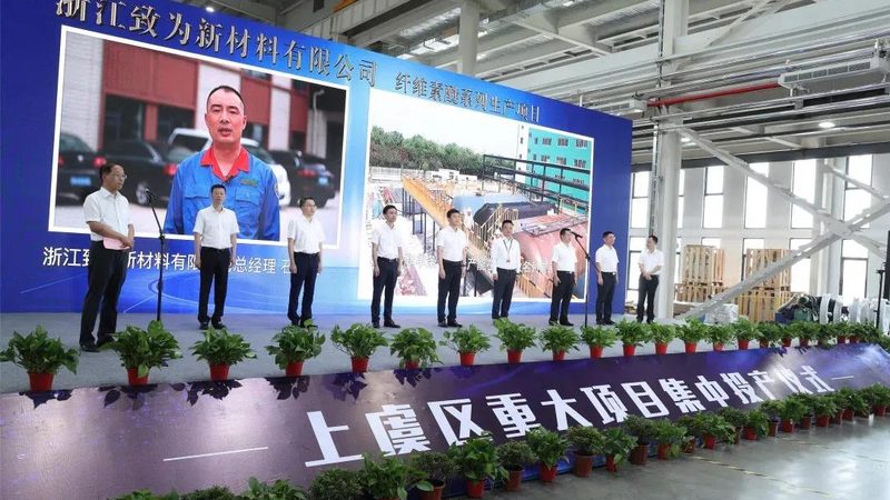 色母粒纹路问题解析：成因与解决方案